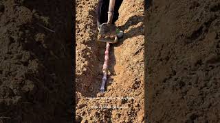 🌱😲How Sugarcane Is Actually Planted
