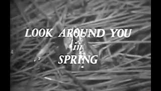 Look Around You in Spring - The Science of Spring