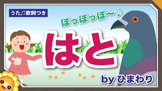 はと（♪ぽっぽっぽ はとぽっぽ ）byひまわり🌻歌詞付き｜文部省唱歌｜Pigeon｜Hato