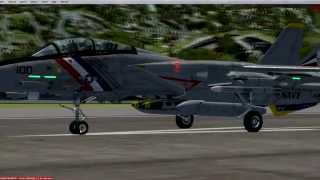 FSX P3D HD stunning FREEWARE Dino Cattaneo F-14 Tomcat, a review