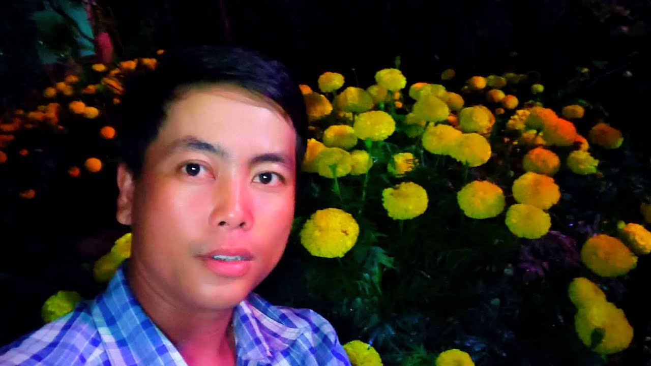 Huỳnh Tinh Vlog đang phát trực tiếp!