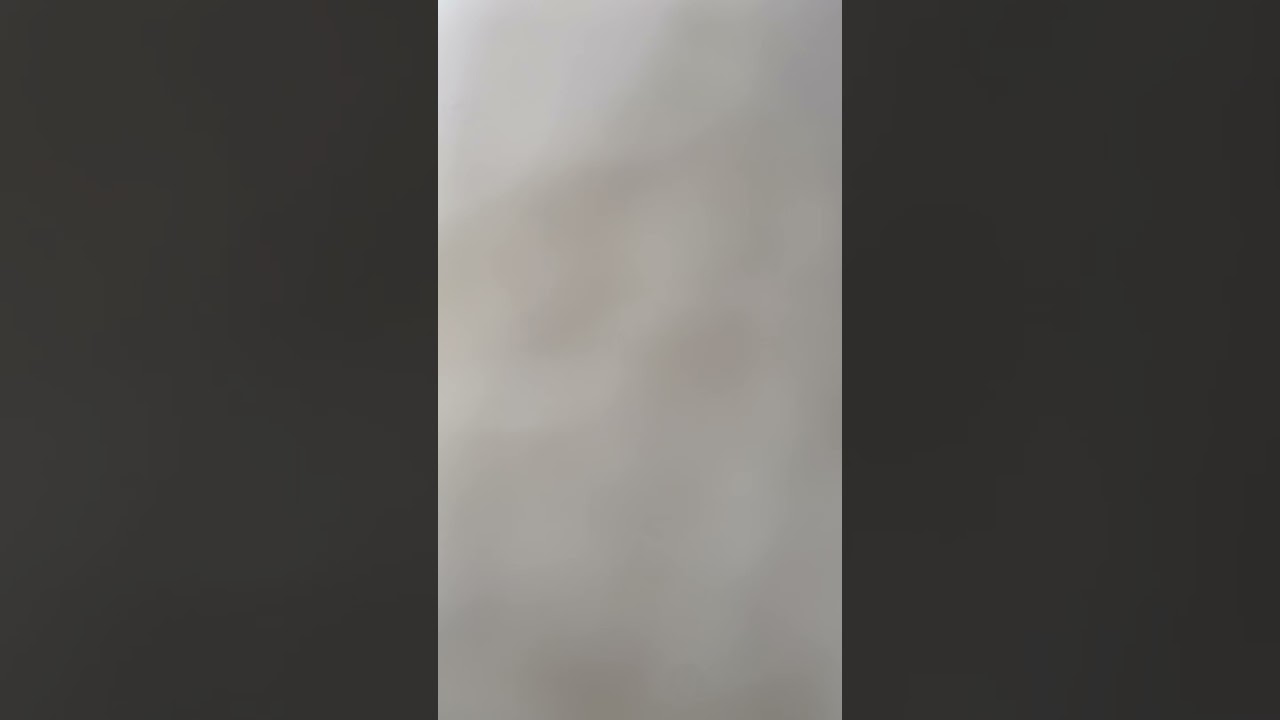 Weed for life 🍃🍃🍃