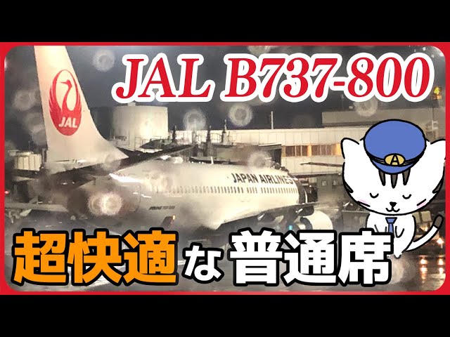 乗りトク座席】JALボーイング737-800（738）お得な座席で移動し