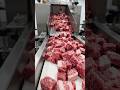 roasted wagyu beef kabab.. #beefkabab #beef #wagyubeef #beefroastrecipe #beeffry #wagyu #viral...