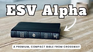 The ESV Alpha is here! screenshot 5