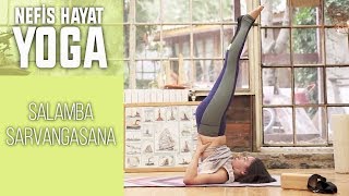 Salamba Sarvangasana Dengeyi Ve Koordinasyonu Arttıran Kalbe İyi Gelen Duruş Gözde İle Yoga
