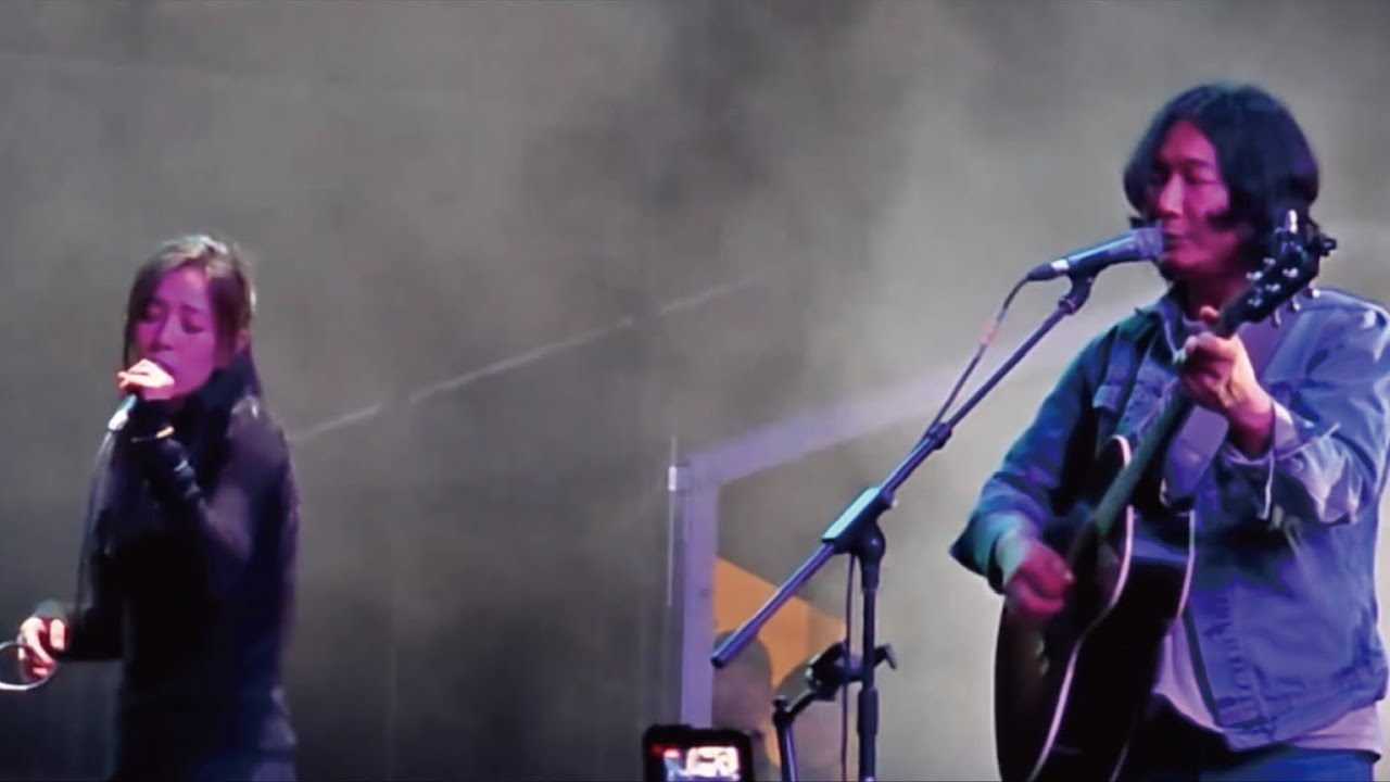 万能青年旅店&安溥-＂山雀＂