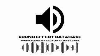 Airport Terminal In China Sound Effect