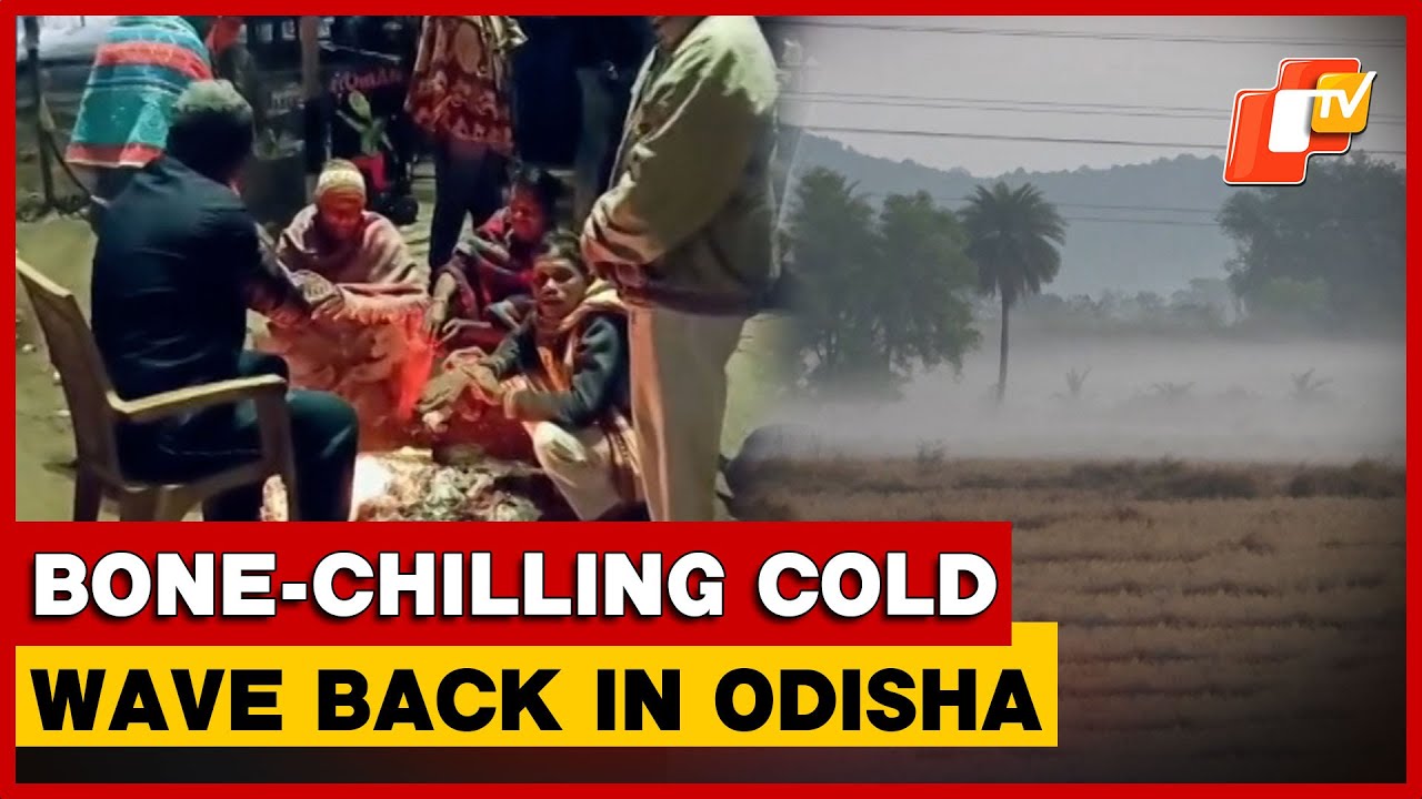 Winter Tightens Grip On Odisha, Temperatures Drop Sharply Across Regions