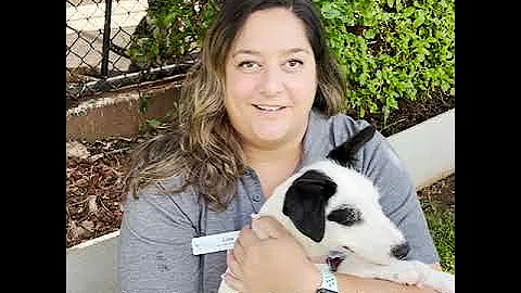 Meet Our Dog Foster Coordinator, Lora!