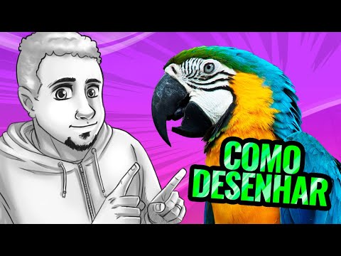Como Desenhar Arara