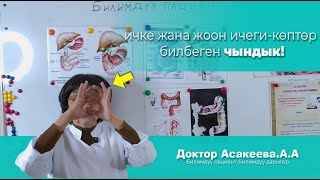видео: Ичке жана жоон ичеги оорулары — организмге кандай таасир тийгизет? | Асакеева А.А 1-бөлүк картинка: Ичке жана жоон ичеги оорулары — организмге кандай таасир тийгизет? | Асакеева А.А 1-бөлүк