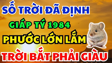 XEM NGAY KẺO LỠ! Giáp Tý 1984 Số Trời đã định Khổ vì nghiệp, Hậu vận Ngập Tràn May Mắn và Phúc Báo