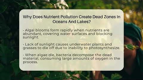 Why Does Nutrient Pollution Create Dead Zones In Oceans And Lakes? - Ecosystem Essentials