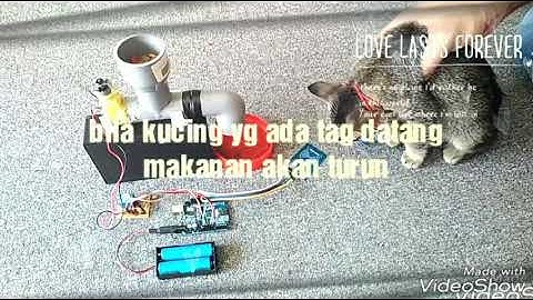 Automatic cat feeder