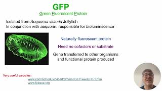 Introduction to Green Fluorescent Protein (GFP)