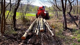 We’re Logging Our Property