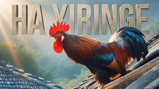 Ori̇ji̇nal Vi̇deo 35 Yil Önce/Ha Xiringe