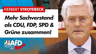 Mehr Sachverstand als CDU, FDP, SPD & Grüne zusammen! – Herbert Strotebeck (AfD)