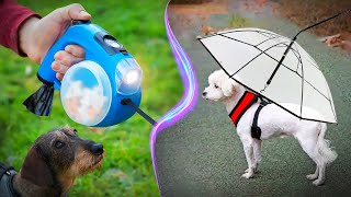 13 High Tech Gadgets You and Your Pet Will Love by Petopedia 172 views 4 months ago 8 minutes, 40 seconds