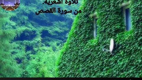 حماد عزي /تلاوة تفوق كل التوقعات بنبرة أشعريه من سورة القصص