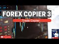 FOREX COPIER 3 - User's Review & Features