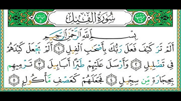 105 سورة الفيل || الشيخ أيمن رشدي سويد