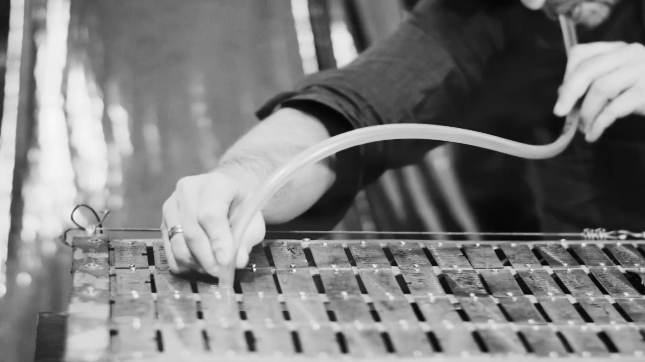 andyvazul - pink heart