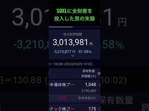 【SOXLに、全財産を投入した男の末路】 #レバナス #ナスダック100 #新型ニーサ