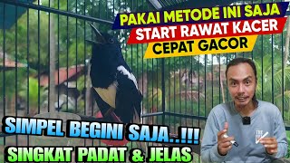 PAKAI CARA INI SAJA ⁉️ PEMULA AWAL MERAWAT KACER JADI CEPAT GACOR