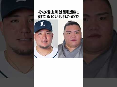 「山川穂高」に関する雑学 #野球 #山川穂高 #野球解説