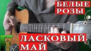 Ласковый май - Белые розы (FingerstyleTV) Ласковый май - Белые розы (FingerstyleTV)