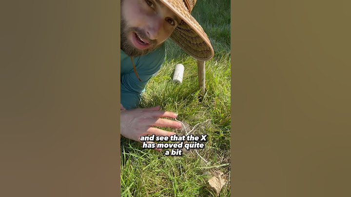 How To Check If Rabbit Is Caring For Nest