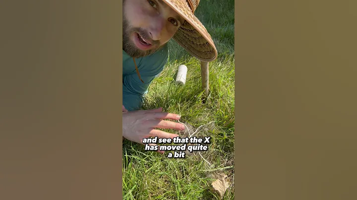 How To Check If Rabbit Is Caring For Nest