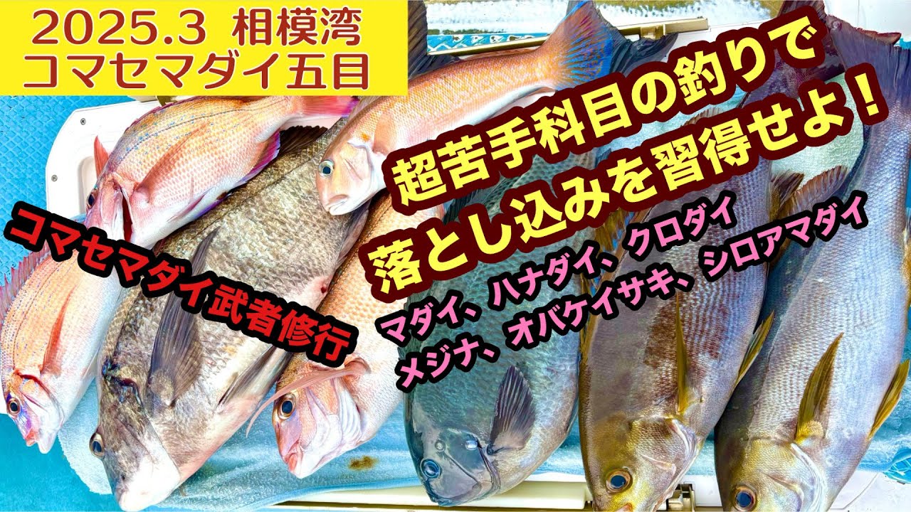 相模湾コマセマダイ！ここから始まる、コマセ釣り武者修行！落とし込みの妙技を会得せよ！