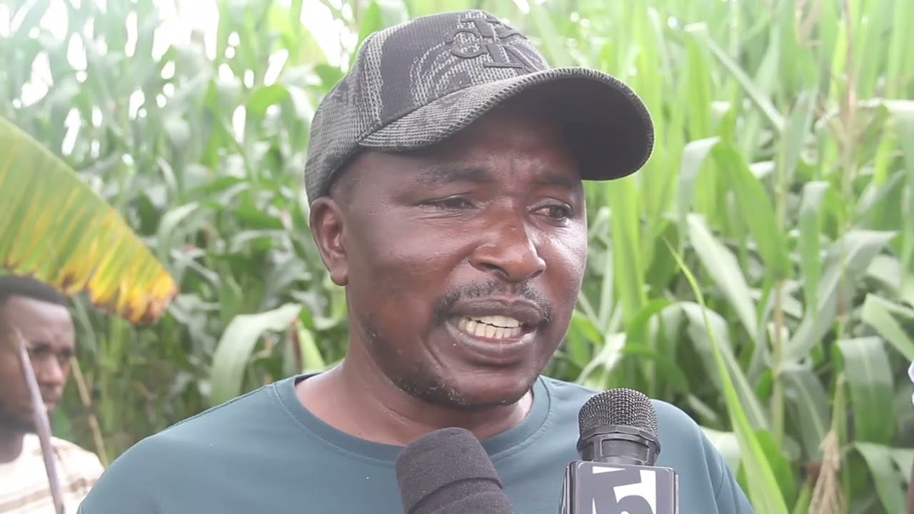 MAFURIKO KATA YA ILEMI JIJINI MBEYA | WAKAZI WALIA NA UONGOZI WAO.