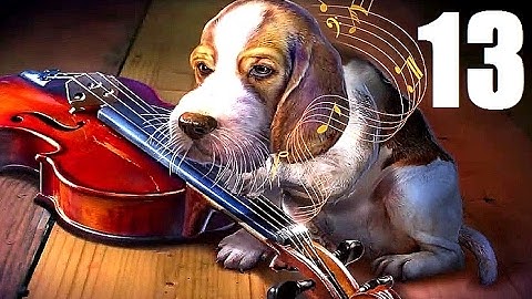 Edge Of Reality 2: Lethal Predictions - Part 13 Let