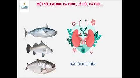 TNVXH Lớp 3 Tuần 6 Bài 11 Vệ sinh cơ quan bài tiết nước tiểu