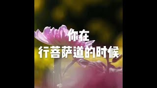 201711 你在行菩萨道的时候22720