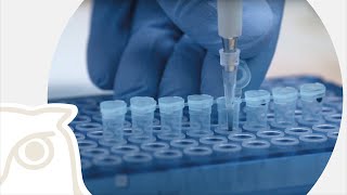 Research Training Group VIPER: young virus researchers