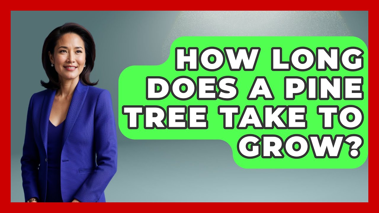 How Long Does A Pine Tree Take To Grow? - The Plant Enthusiast