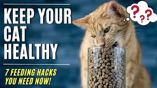 Stop Kitty's Upset Stomach! The WORST Foods You Should NEVER Feed Your Cat / Cat World Academy by Cat World Academy 43 views 1 month ago 8 minutes, 2 seconds