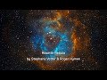 Rosette nebula by stephane vetter  roger hyman