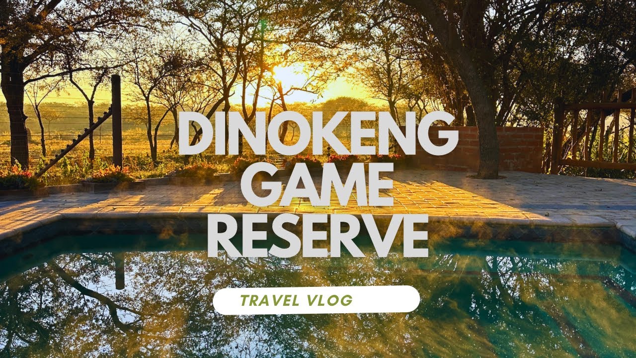 Dinokeng Game Reserve|Chameleon Bush Lodge| Gauteng Bush Break