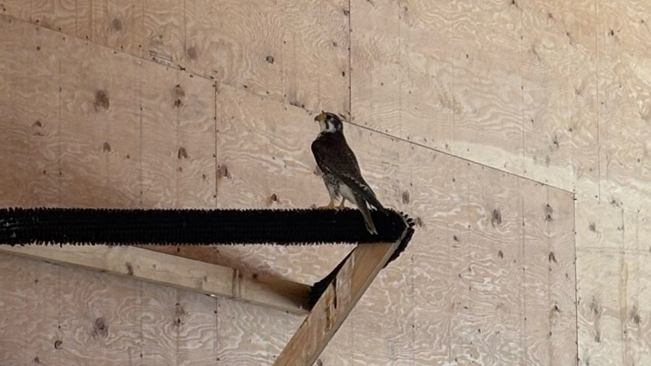 Patient Update 2-20-26