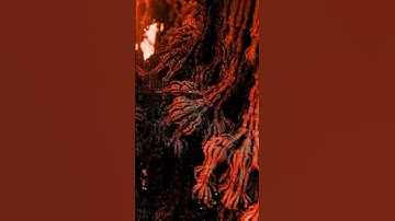 This guy rendered a bunch of fractals in this software. #art #animation #fractal #digitalart #ai