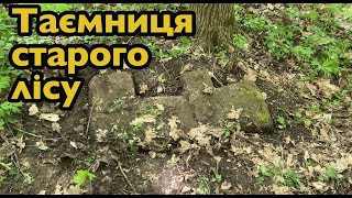 Таємниця старого лісу! Шукаю на місці зниклого села. Тунелі, легенди та церква у древньому лісі