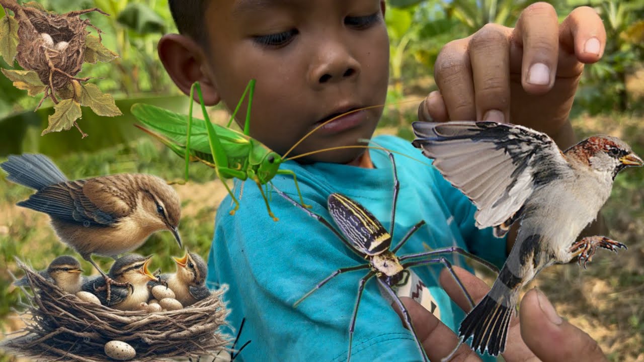 Hunting for bird nests again with the kid