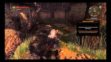 Walkthrough: The Witcher 2 HD - Part 4 - Prologue - TheRagingOgre.com!
