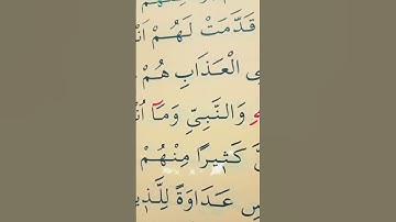 سورة المائدة الأية 80 إلى 81 القارئ سعد الغامدي